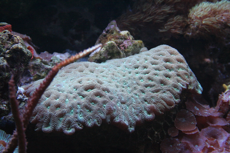 Killikus® Fotographie Killikus® Fotographie